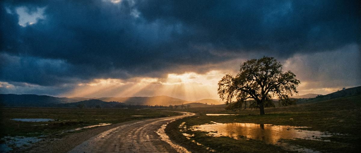国产视频影视视频平台
